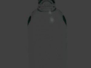 bottle 3D Model