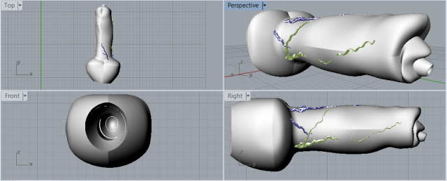 Download realistic male great dane hollow genitalia 3D Model