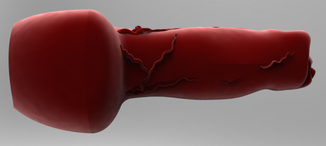 Download realistic male great dane hollow genitalia 3D Model