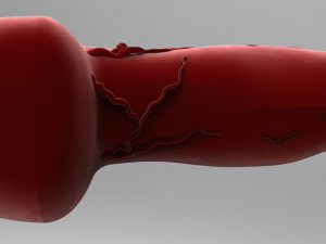 realistic male great dane hollow genitalia Modèles 3D en vedette