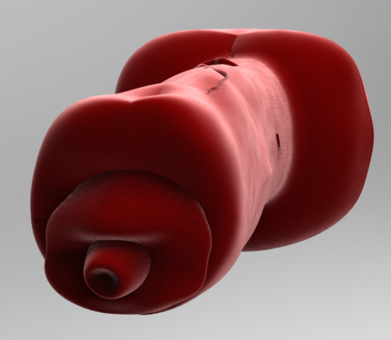 realistic male great dane hollow genitalia 3D Print Model .c4d .max .obj .3ds .fbx .lwo .lw .lws
