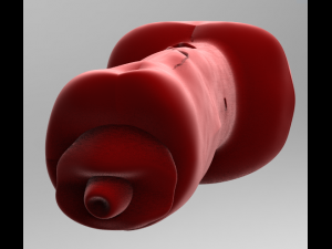 realistic male great dane hollow genitalia 3D Print Model