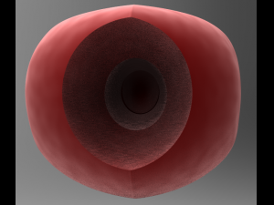 realistic male great dane hollow genitalia Modèles 3D en vedette