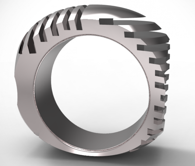 cuts ring 3D प्रिंट मॉडल .c4d .max .obj .3ds .fbx .stl .blend 