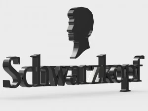 logo schwarzkopf Modello 3D