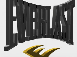 everlast logo 3D Model
