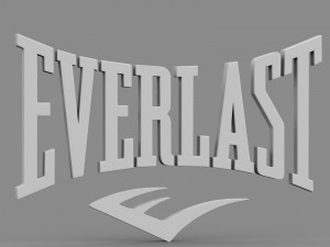 everlast logo 3D Model