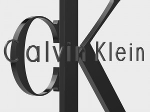 calvin klein logo 3D Model