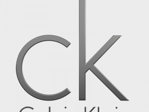 calvin klein logo 2 Model 3D