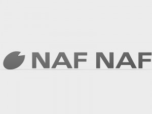 naf naf logo 3D Модель
