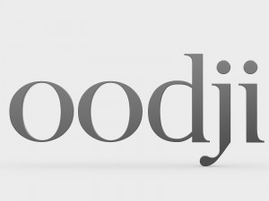 oodji logo 3D 모델