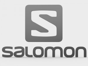 salomon logo 3D Model