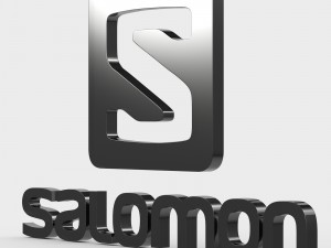 salomon logo 3D Model