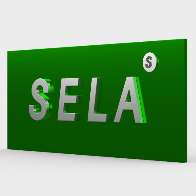 sela logo 3D Model .c4d .max .obj .3ds .fbx .stl .blend 