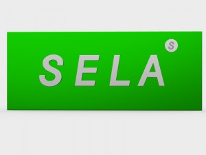 sela logo 3D Model