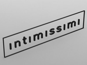 intimissimi logo Modello 3D