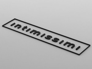 intimissimi logo Modello 3D
