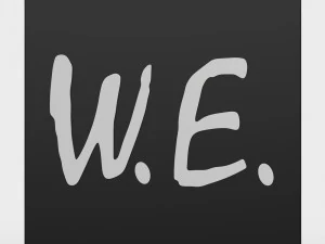 we logo 3D Model