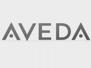 aveda logo 3D-Modell
