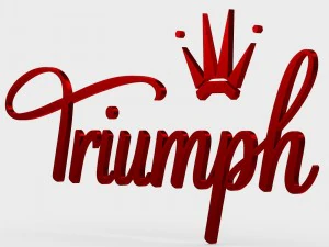 승리 로고 3D 모델