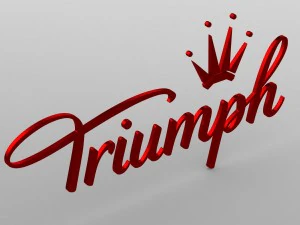 승리 로고 3D 모델