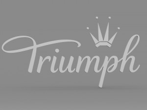 triumph logo 3D Модель