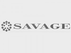 savage logo 3D Model