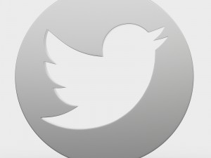 twitter logo 3D Model