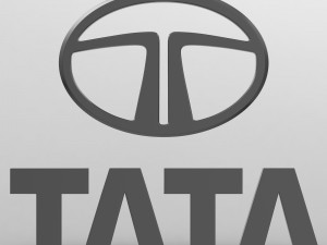tata logo 3D Model