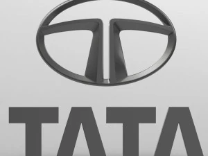 tata logosu 2 3D Model
