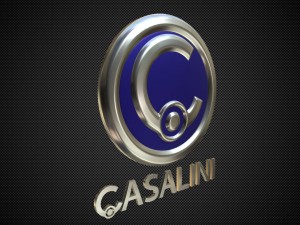casalini logo 3D Model