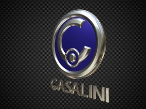 casalini logo 3D Model