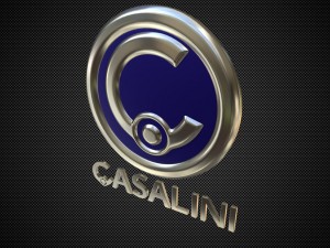 casalini logo 3D Model