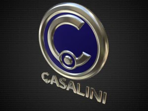 casalini logo 3D Model