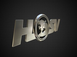 hsv logo 3D 模型