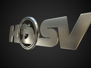 hsv logo 3D 模型