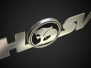 hsv logo 3D 模型