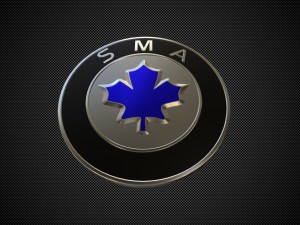 sma logo 3Dモデル