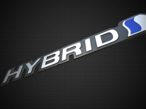 hybrid logo 3D Model