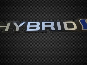 hybrid logo 3D Model