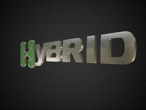 hybrid logo 2 3D Model