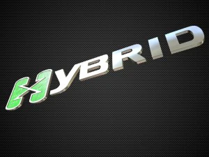 hybrid logo 2 3D Model