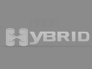 hybrid logo 2 3D Model