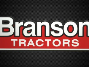 logo Branson Modello 3D