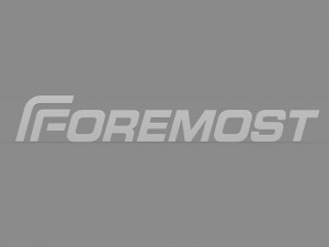 foremost logo 3D Модель