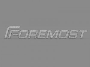 foremost logo 3D Модель