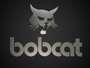 bobcat logo 3D Model