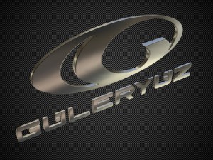 guleryuz logo 3D मॉडल