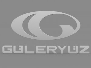guleryuz logo 3D मॉडल