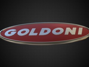 goldoni logo Model 3D